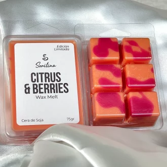 wax melt citrus & berries