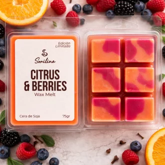 Wax Melt Citrus & Berries